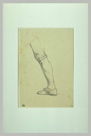 Etude d'une jambe droite, de profil à gauche, image 1/1