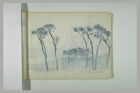 Paysage avec de grands arbres