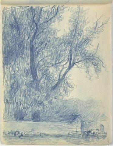 Arbres