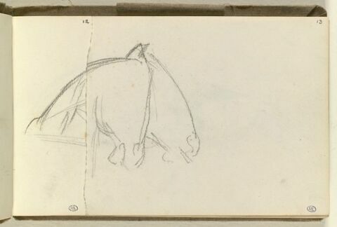 Encolure de cheval, image 1/1