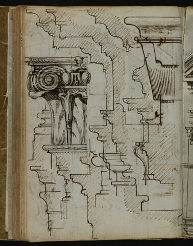 Profil et coupe d'éléments architecturaux. Détail d'un chapiteau de l'église Santa Maria della Pace à Rome, image 2/2