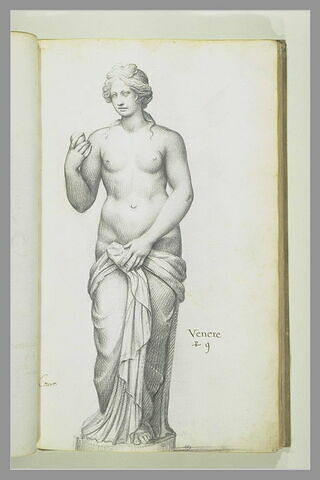 Statue de 'VENERE', image 2/3