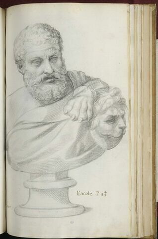 Statue : buste d'Hercule, image 2/3