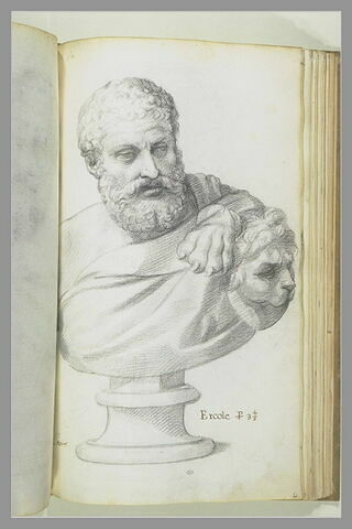 Statue : buste d'Hercule, image 3/3