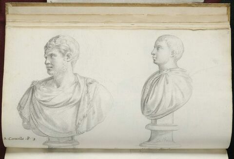 Deux bustes représentant l'un 'A. CARACALLA' ; l'autre 'GALLIENO', image 2/3