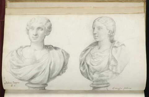 Deux bustes représentant l'un 'SABINA POPPEA' ; l'autre 'CORNELIA SABINA', image 2/3
