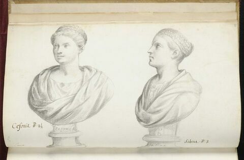 Deux bustes représentant l'un 'CEFONIA' ; l'autre 'SABINA', image 2/3