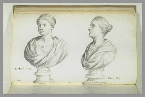 Deux bustes représentant l'un 'CEFONIA' ; l'autre 'SABINA', image 3/3