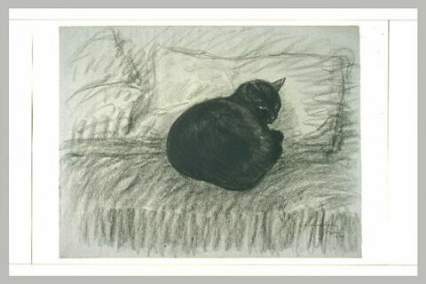 Chat noir couché en boule sur un divan, image 1/1