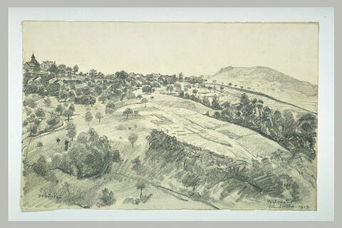 Paysage de Belmont du sommet d'une colline boisée, image 1/1