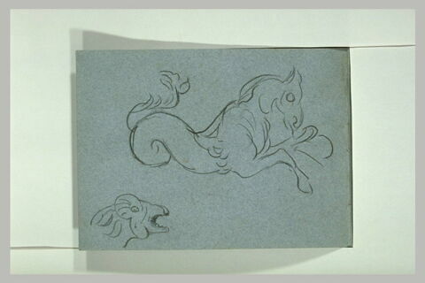 Monstres marins, image 1/1