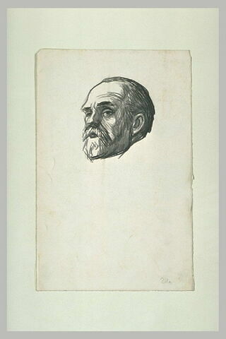 Tête d'Emile Zola, de trois quarts vers la gauche, image 2/2