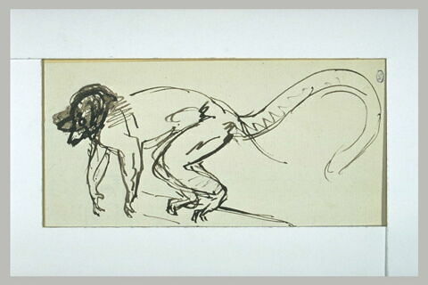 Singe couché, tourné vers la gauche, image 1/1