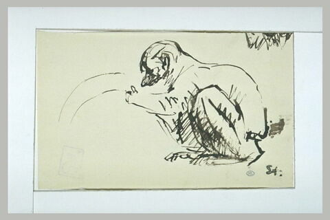 Singe accroupi, tourné vers la gauche, image 1/1