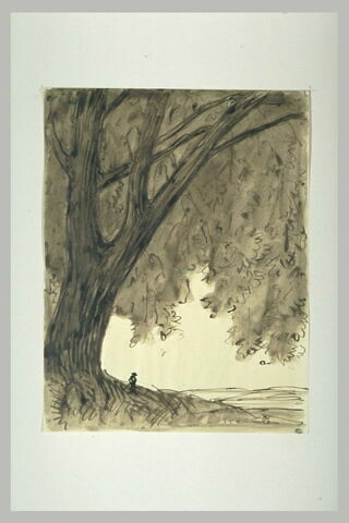Petit personnage sous un arbre immense, image 1/1
