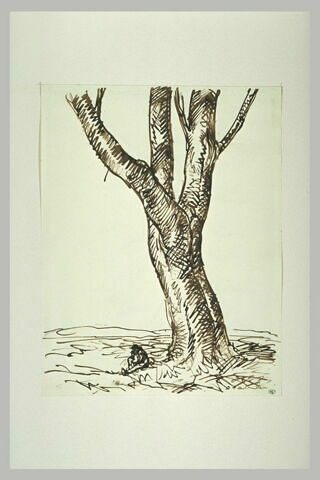 Personnage assis au pied d'un arbre dépourvu de feuilles, image 1/1