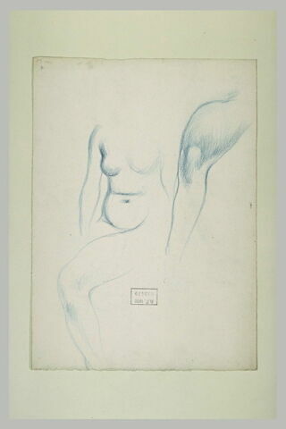 Croquis de jambe et d'un buste de femme nu, image 1/1