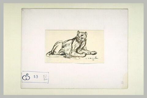 Lionne assise, la tête de face, le corps de profil à droite, image 2/2