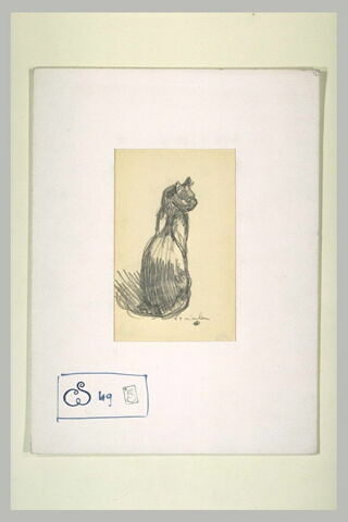 Chat assis, vu de dos, la tête de profil à droite, image 2/2