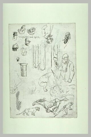 Feuille d'études : têtes et animaux divers, cheval, grenouille, lion, image 1/1
