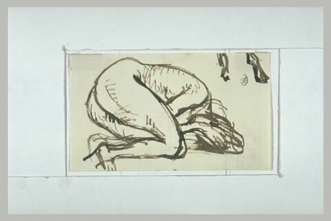 Femme nue, pelotonnée sur elle-même, image 1/1