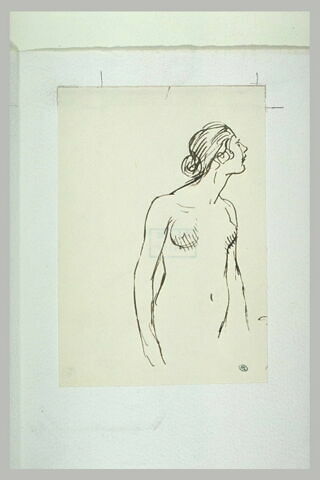 Femme nue, vue à mi-corps, image 1/1