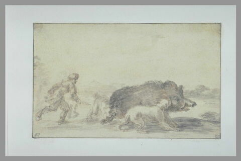 La chasse au sanglier, image 2/2