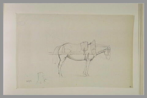 Cheval attelé, de profil à droite, image 1/1