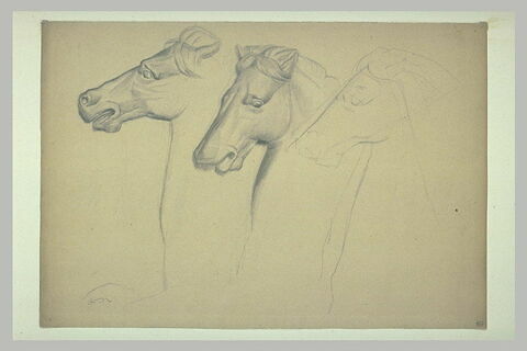 Trois têtes de chevaux, image 1/1