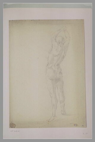 Homme nu, debout, vu de dos, les bras au-dessus de la tête, image 1/1