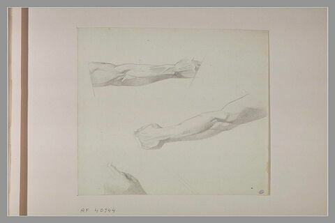 Deux études de bras et croquis d'une épaule droite, image 2/2