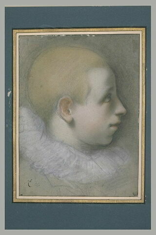 Tête de jeune garçon, aux cheveux rasés, de profil vers la droite, image 2/2