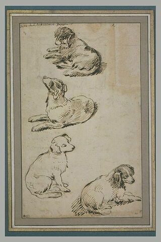 Etude de quatre chiens, trois sont couchés, un est assis, image 3/3