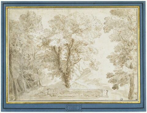 Paysage de forêt, image 2/3
