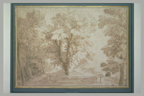 Paysage de forêt, image 3/3