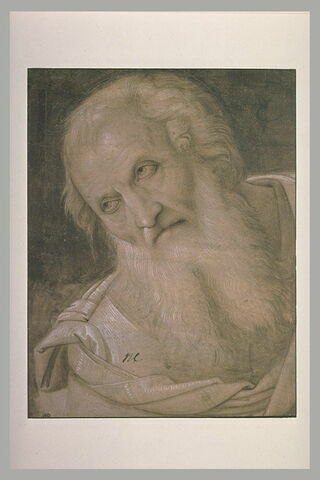 Tête de vieillard à longue barbe : étude pour saint  Joseph d'Arimathie