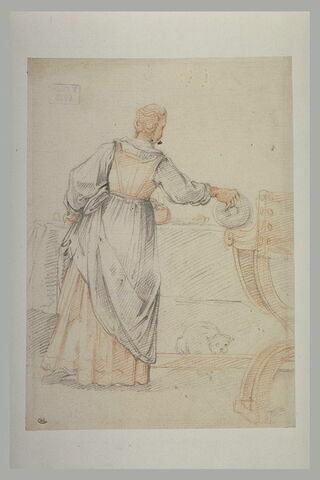 Femme, vue de dos, dressant le couvert, image 1/1