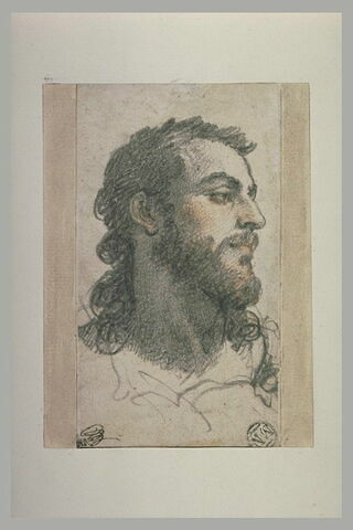 Tête d'homme barbu, aux longs cheveux, se tournant vers la droite, image 2/2