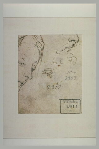 Fragment d'une tête de femme, et bas du visage d'un homme barbu, de profil, image 1/1