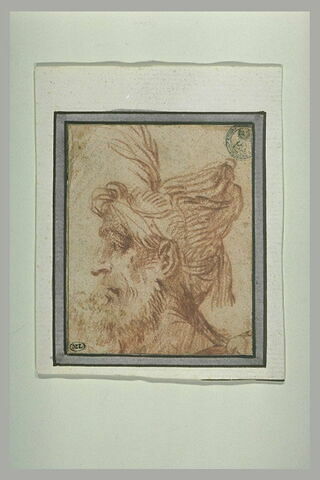 Tête de vieillard barbu, de profil, tourné vers la gauche, image 2/2