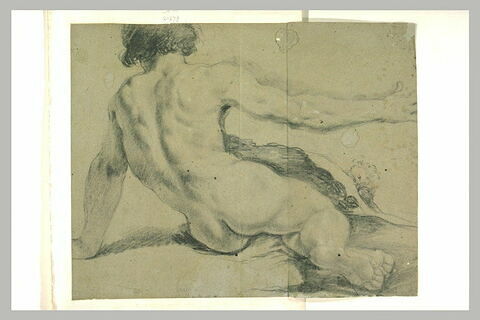 Homme nu à demi-couché, de dos, s'appuyant sur la main gauche