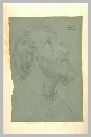 Profil d'homme barbu, tourné vers la droite, les yeux levés, image 1/1