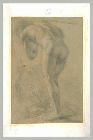 Homme nu, debout, de dos, arc-bouté sur une corde, image 1/1