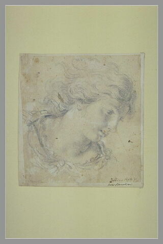 Tête de femme, tournée vers la droite, image 2/2