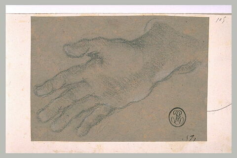 Etude d'une main gauche, image 1/1