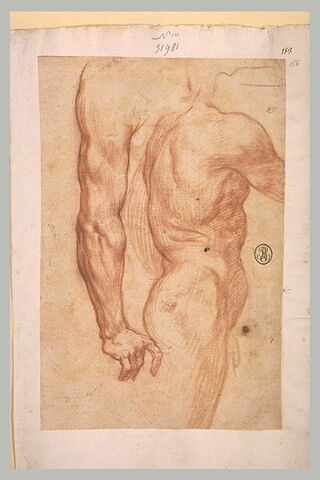 Torse et fesses d'un homme nu, de profil, et bras, image 1/1