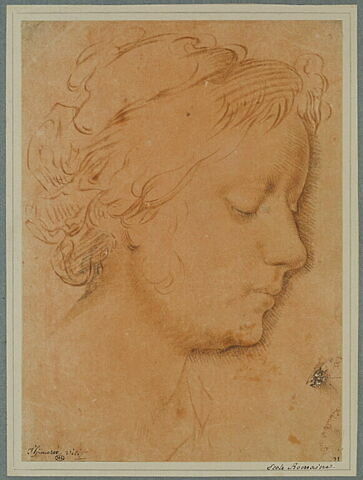 Tête d'une jeune fille, de profil à droite, les yeux clos, image 2/2