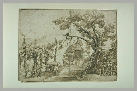 Paysage avec à gauche une treille et, à droite, un arbre sur lequel perche une pie