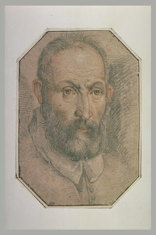 Tête d'homme, vue de face, portant moustache et barbe, image 2/2