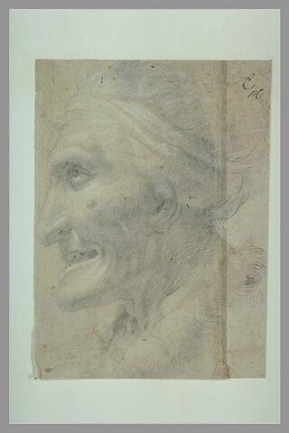 Une tête de vieille femme, de profil, tournée vers la gauche, image 1/1